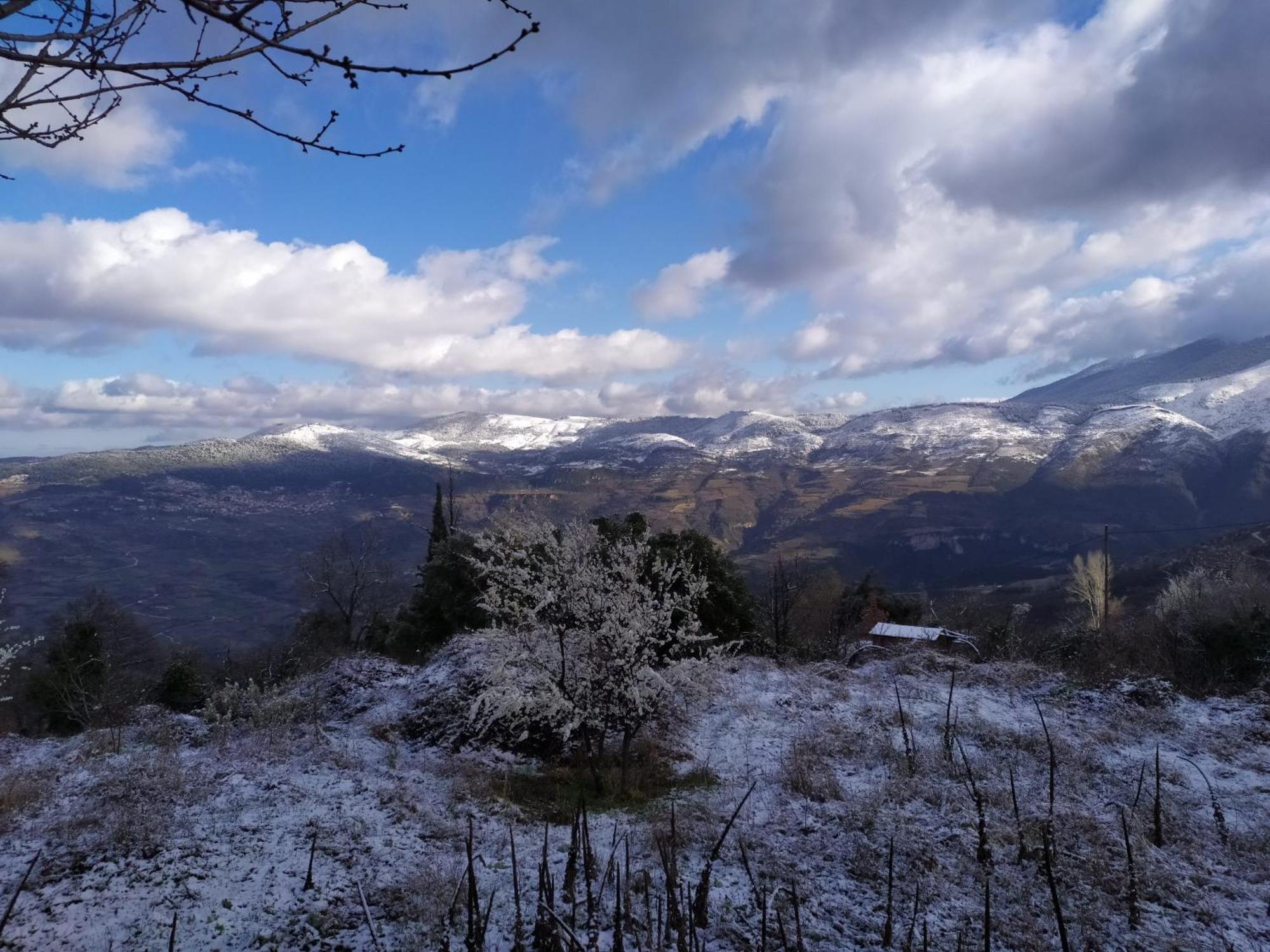 Μικρή Ζήρεια Ενοικιαζόμενη Κατοικία Synikia Mesi Trikalon Esterno foto