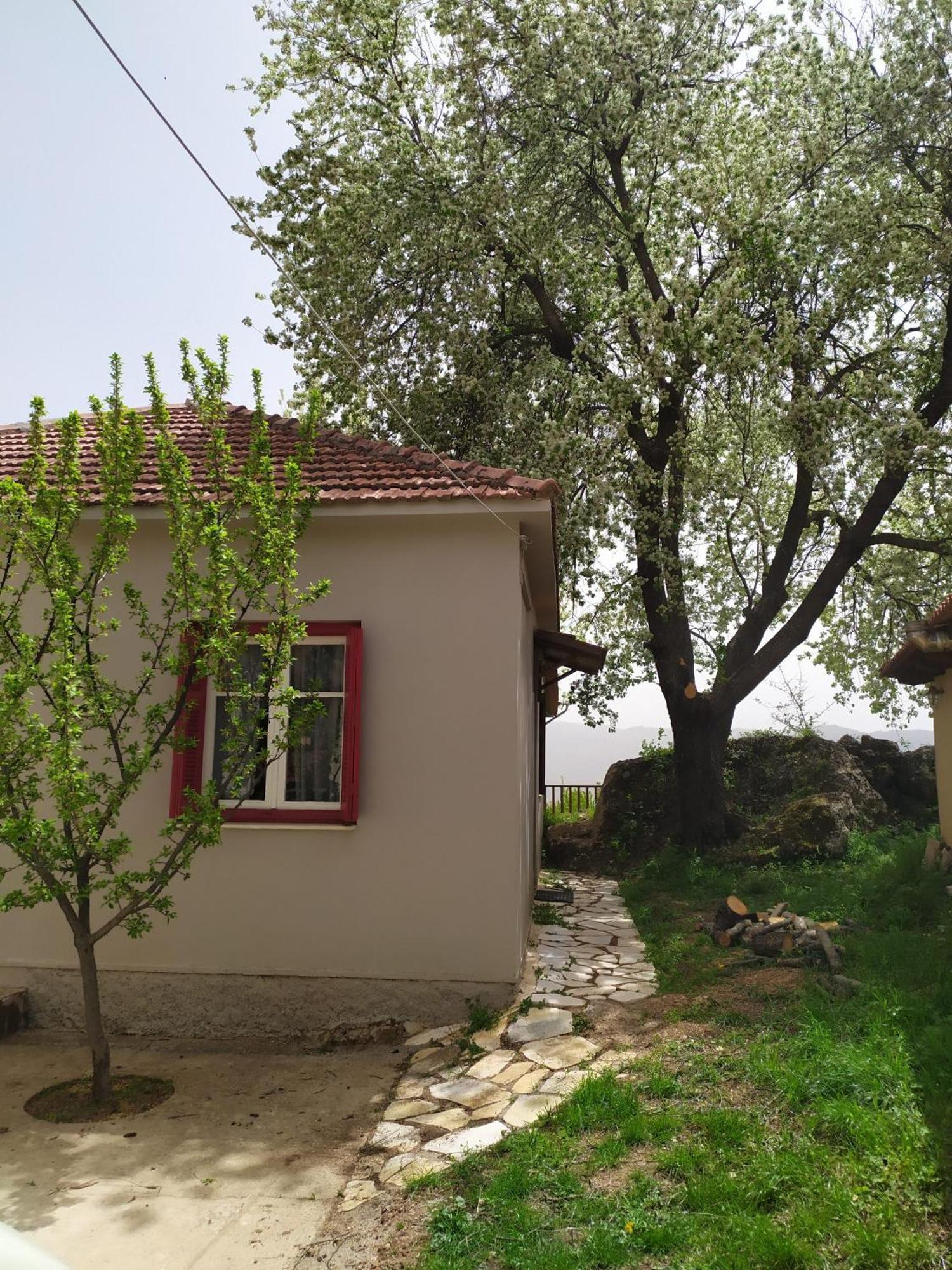 Μικρή Ζήρεια Ενοικιαζόμενη Κατοικία Synikia Mesi Trikalon Esterno foto